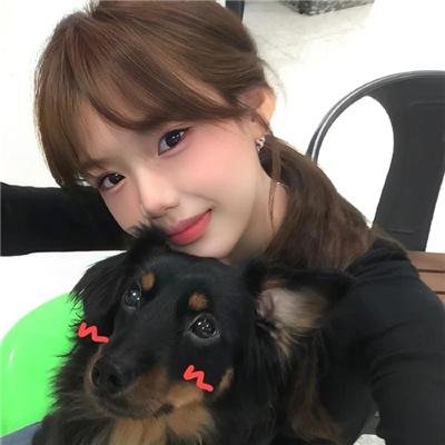 狗咬狗海报