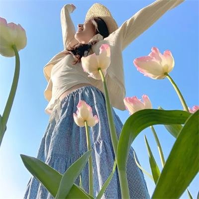 甜美爱丽丝海报
